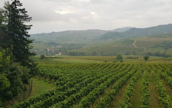 Vitigni-Borgoratto-Mormorolo-pg.Proloco-Borgoratto