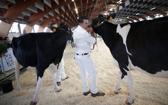 saluzzo mostra meccanica agricola e mostra regionale della frisona
