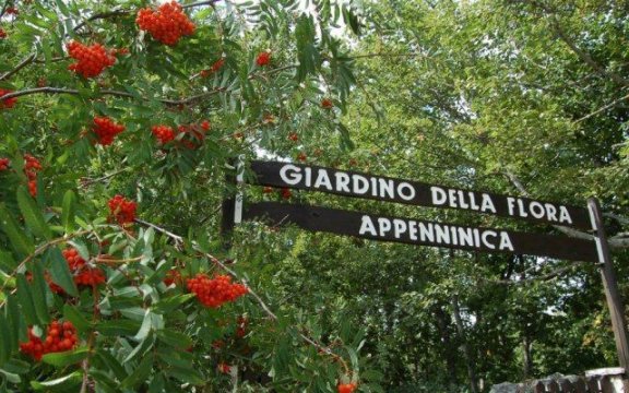 55-anni-Giardino-della-Flora-Appenninica-Capracotta