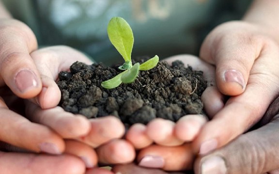 coltiviamo_agricoltura_sociale