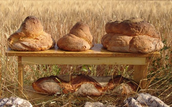 altamura bari pane tipico
