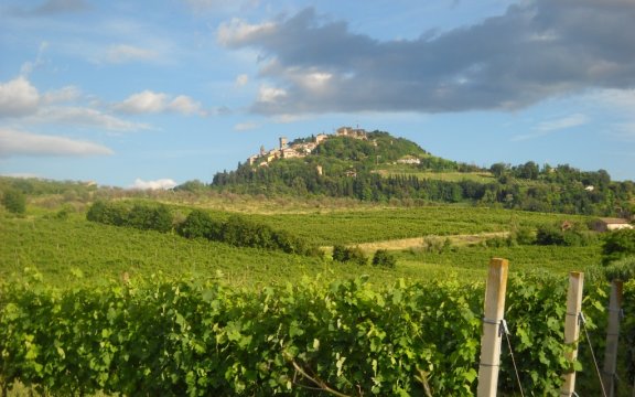 Bertinoro-vista-dai-vigneti
