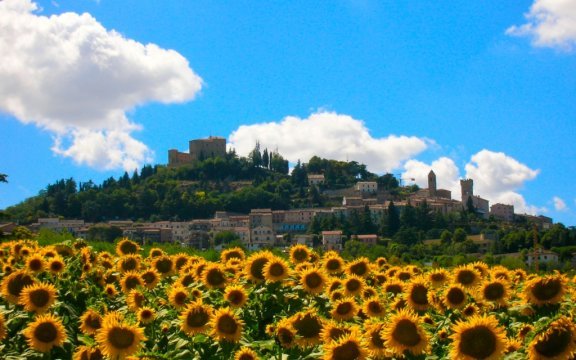 borgo autentico bertinoro