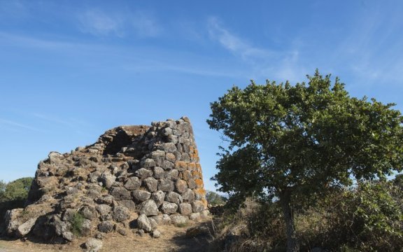Sagra de s’antunna e sapori di primavera