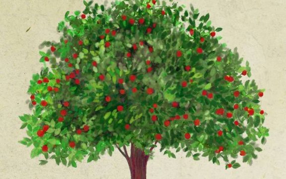 Il bosco del tempo