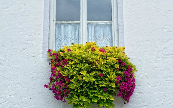 casamassima balcone fiorito nel borgo antico