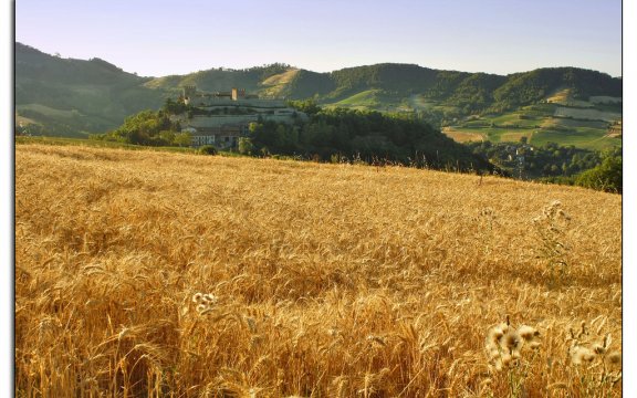 montesegale, pavia, mostra di pittura "La luna, la mente, le mani"
