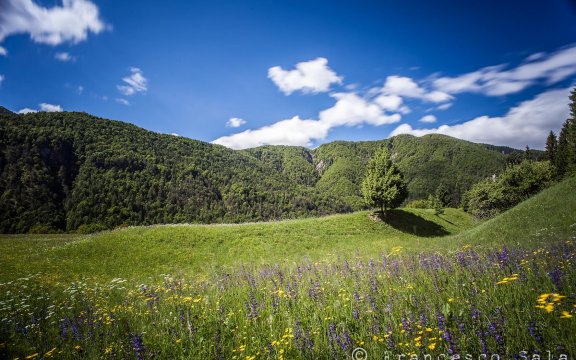 forni di sotto, udine, paesaggio primaverile, weekend all'insegna della natura
