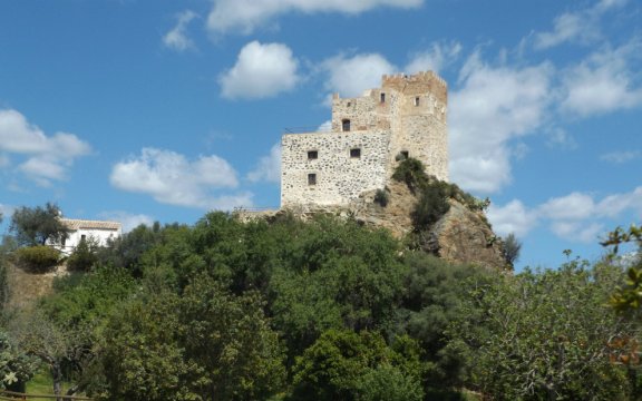 galtellì festa antico borgo