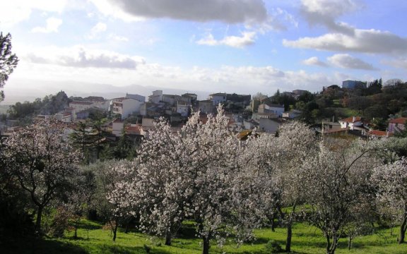 Lei-panorama