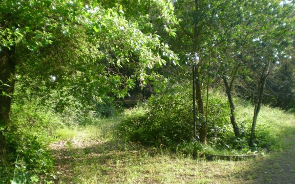lo-spirito-del-bosco-collepasso-borghi-autentici