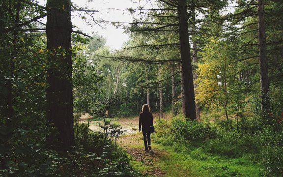 turismo a zero emissioni, camminare, turismo rispettoso della natura e del paesaggio