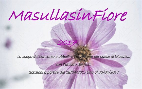 masullas in fiore