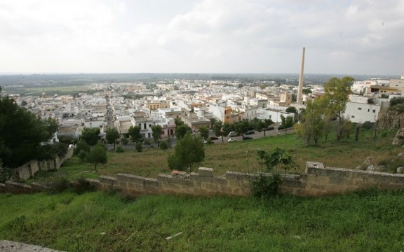 Matino