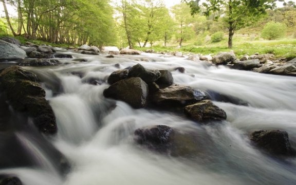 Miglierina_natura