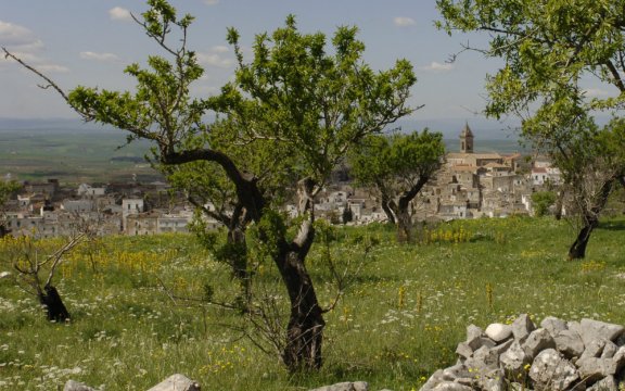 Minervino Murge escursione borghi autentici d'italia