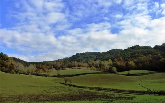 Montesegale-Città-libere-dai-pesticidi-Borghi-Autentici-Italia