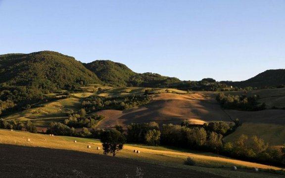 Montesegale Colline