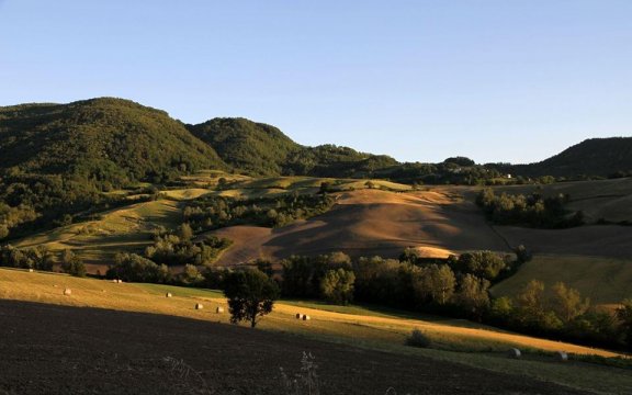 montesegale
