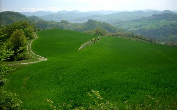 Montesegale Verde