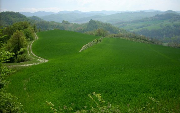 paesaggio 