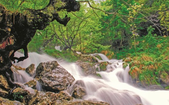 Morino-torrente-lo-schioppo-aree-protette
