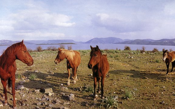 borgo autentico di orroli cagliari sardegna cammino 