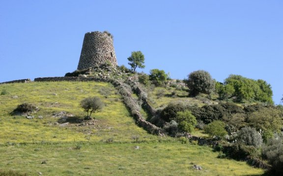 Orolio Silanus