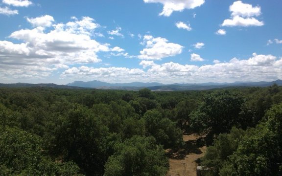 Orotelli_Paesaggio