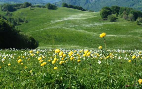 Parco dell'Antola