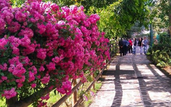 galtellì C'era una volta... pomeriggio per i più piccoli
