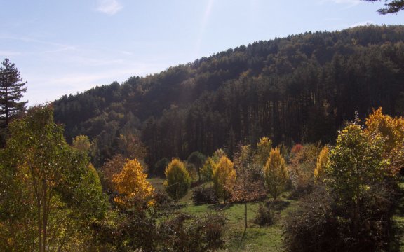 pietralunga colline autunno