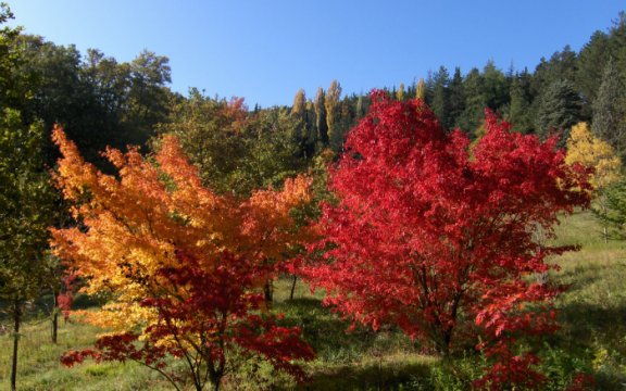 pietralunga Passeggiata tra natura e sapori nella valle del Carpina