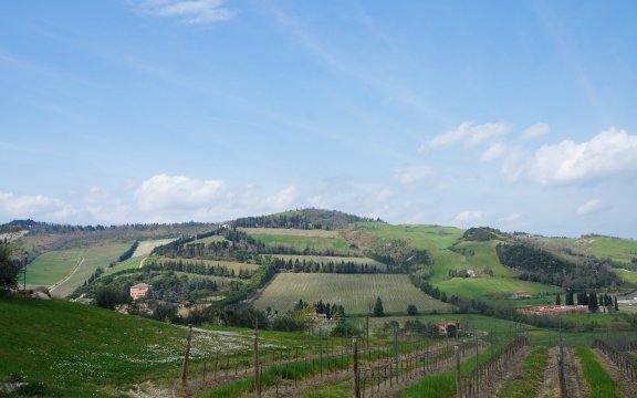predappio borghi autentici d'italia vigneti