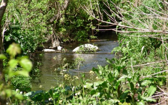 Sannariolo-rio-nugari