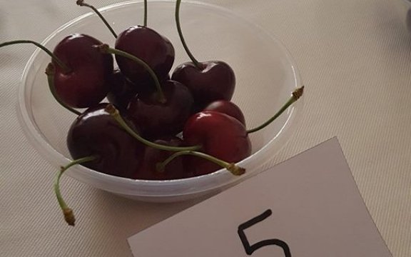 La ciliegia di Roseto Capo Spulico (Cs) è la più bella d’Italia