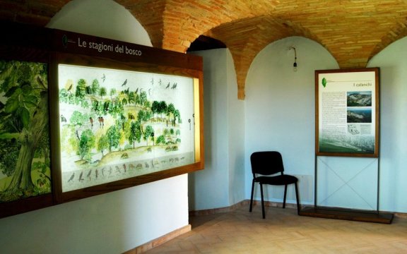 Rotella-Museo-naturalistico