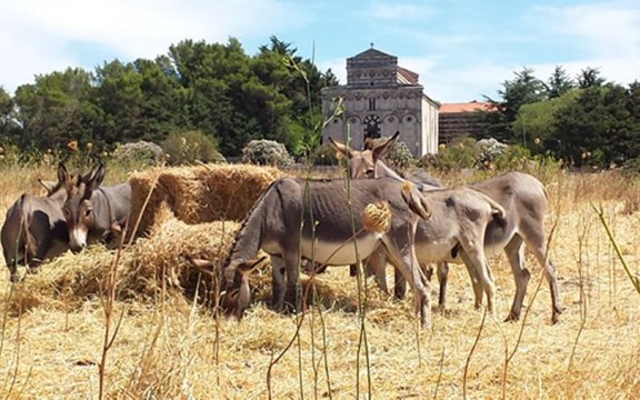 san_pietro_di_sorres_borutta_borghi_autentici_italia_sardegna