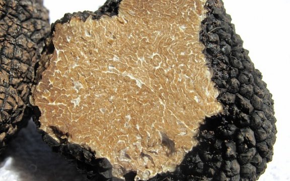 sante marie seconda edizione della sagra del tartufo
