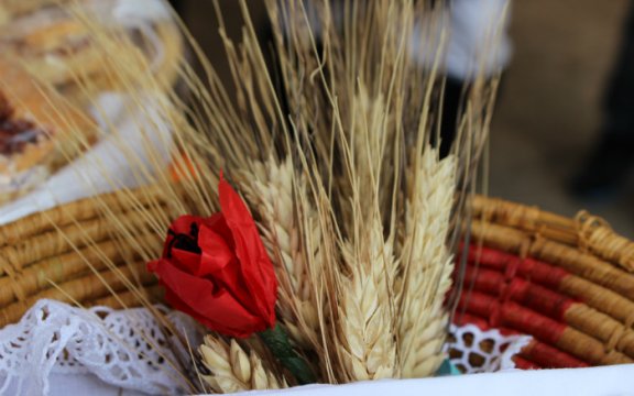 sardara sagra del grano