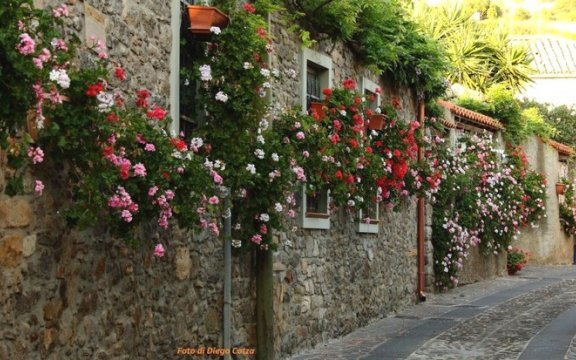 Sardara Fiori