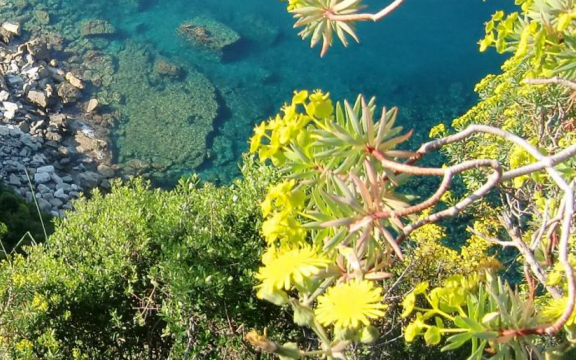 sestri levante liguria genova 