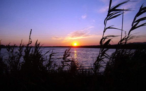 stagno-mare-foghe-Zeddiani