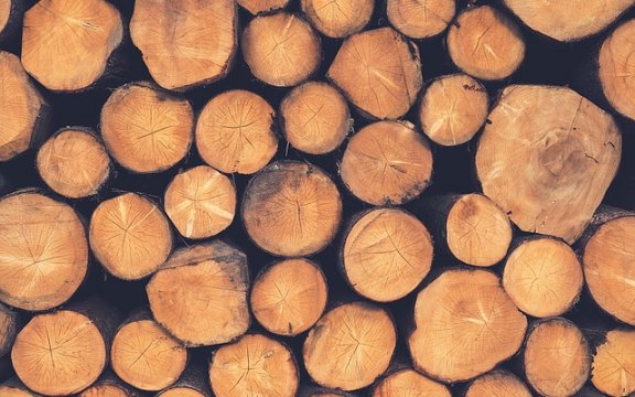 sutrio la magia del legno edizione 2016
