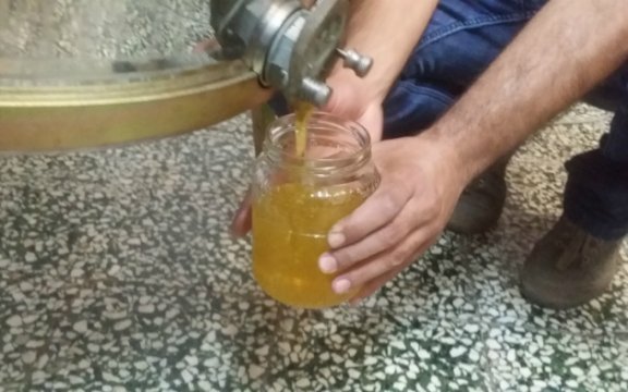 miglierina, calabria, è iniziato il tour delle Comunità ospitali