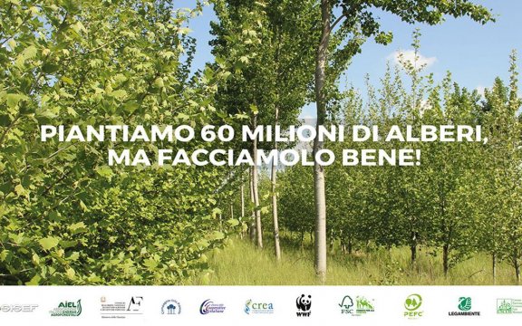 un-albero-in-più