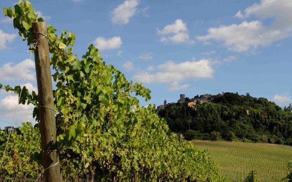 comunità ospitale di bertinoro incontro per la comunità ospitale