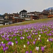 Sauris_Borgo_Autentico_d'Italia