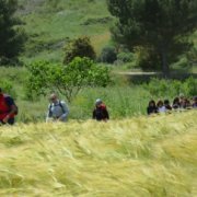 collinas associazione borghi autentici d'italia