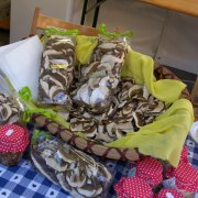 festa nazionale borghi autentici 2010 levice stand con prodotti tipici locali funghi